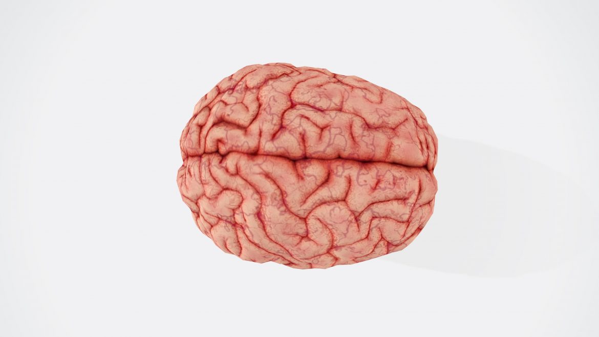 Hémisphère droit hémisphère gauche